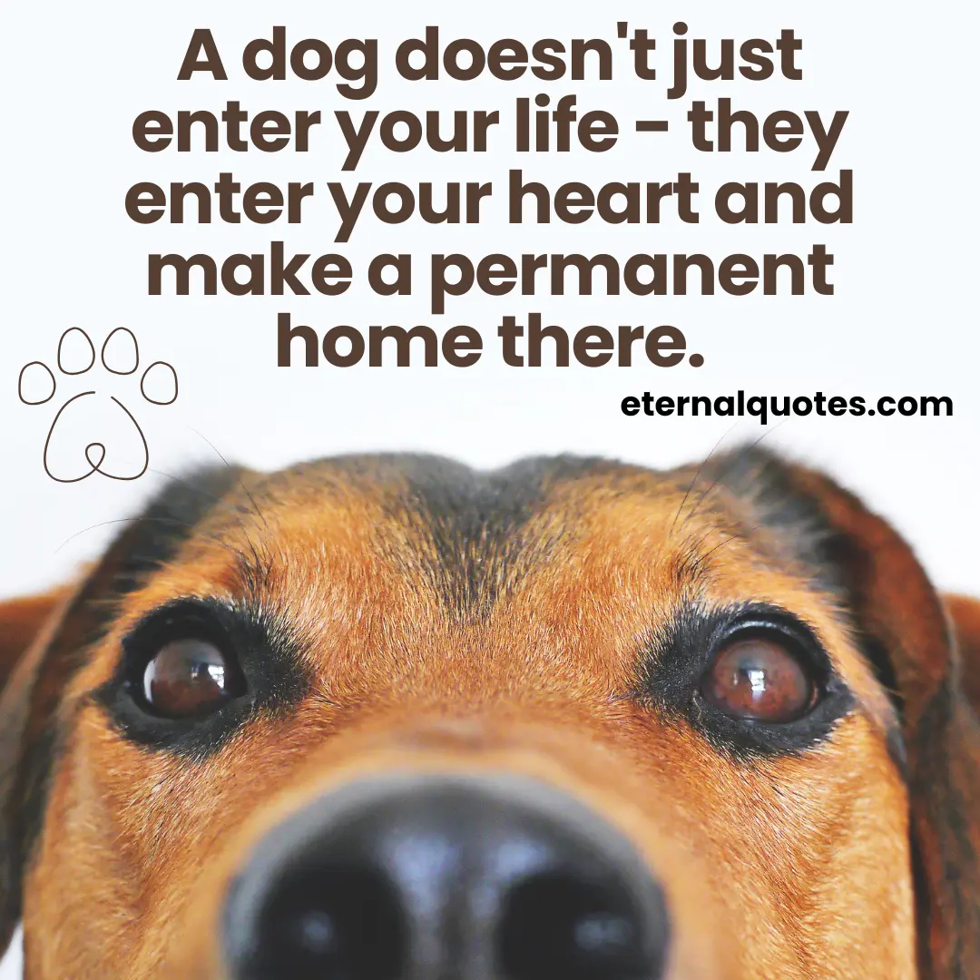 Quote Image