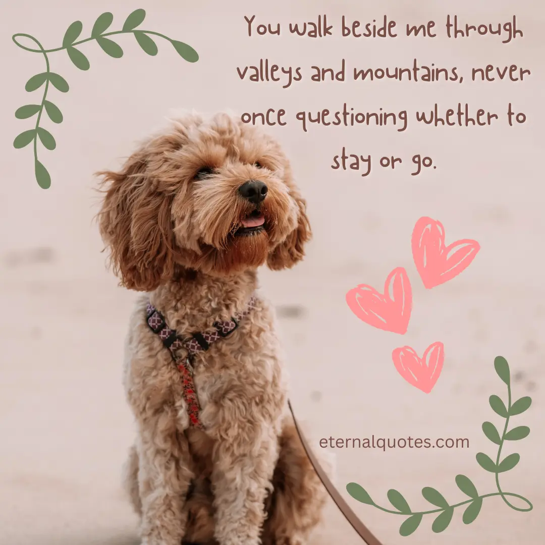 Quote Image