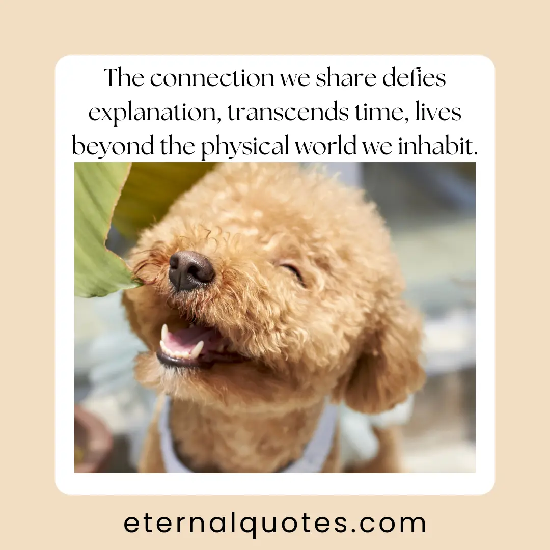 Quote Image